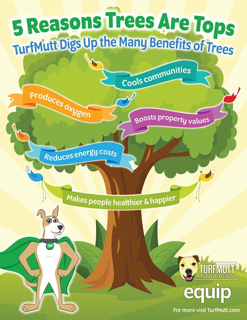 5 Reasons Trees Are Tops